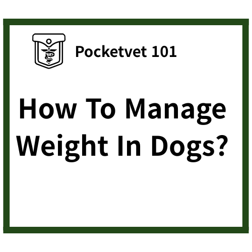 Dog weight management