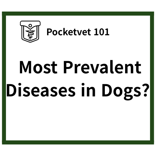 most commonly diagnosed disease in dog